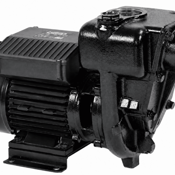 Насос для перекачки дизельного топлива PIUSI E300  230V/50Hz